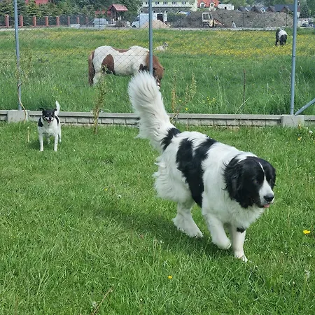 Appartement Demeter Letniskowe W Sarbinowie *